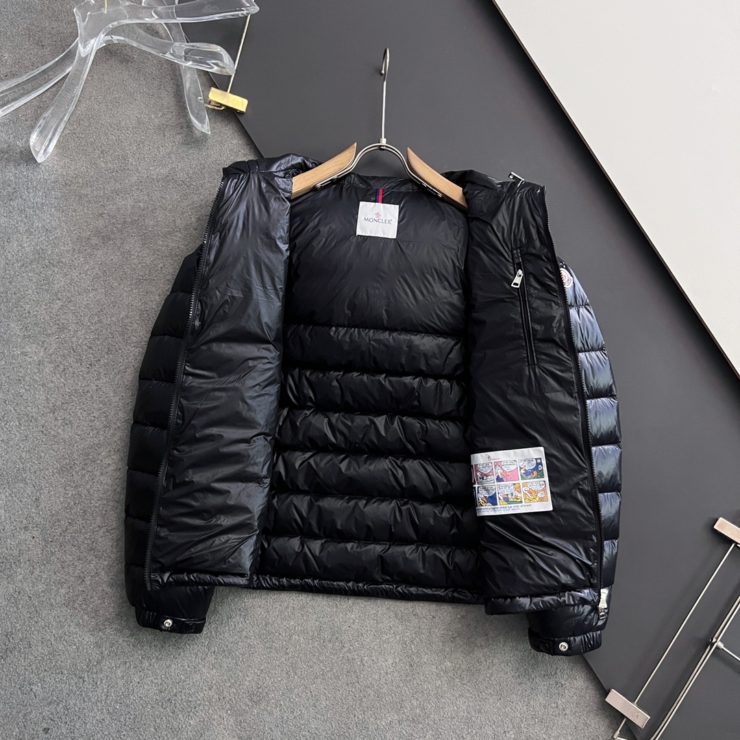 Louis Vuitton Down Jackets